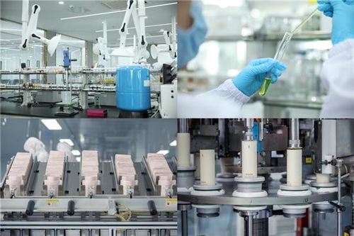 袋鼠媽媽天然國度入選創(chuàng)新服務(wù)重點企業(yè),打造強勁品牌力引領(lǐng)行業(yè)創(chuàng)新發(fā)展