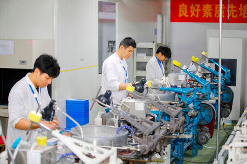 多措并舉促發(fā)展 金融活水澆灌科創(chuàng)之花