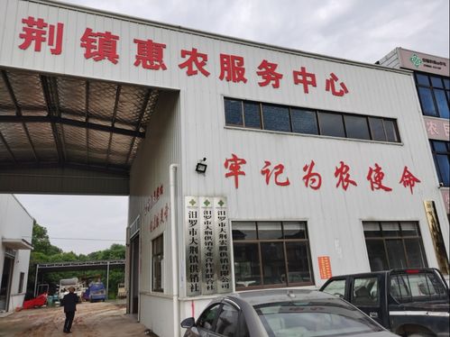 汨羅科技特派員 技術服務在田間