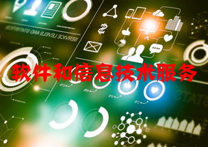 軟件和信息技術服務行業運行態勢與競爭格局分析 附報告目錄