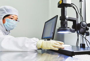 芯 技術實現 零突破