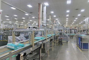 幫寶適蘿崗工廠五周年 聚合全球優(yōu)勢資源,更好服務(wù)中國家庭